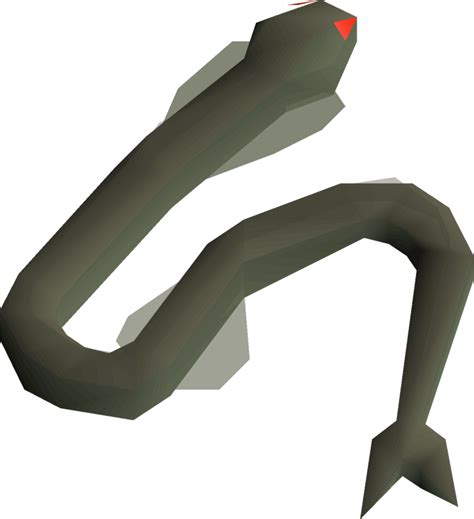 The village may only be accessed once players reach the Tyras Camp during. . Sacred eel osrs